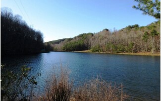 3 ACS Laurel Ridge Dr, Turtletown, TN 37391