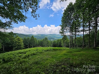 TBD Smith Creek Rd, Mars Hill, NC 28754