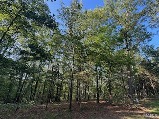160 Steeple Point Dr Lot #9 Dr, Defiance, MO 63341