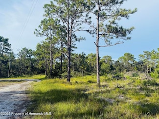 000 Parallel Rd, Brooksville, FL 34614