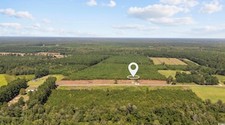 LOT B6 State Road S-26-266, Nichols, SC 29581
