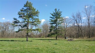 0 Cr 924 Unit 15056720, Bunker, MO 63629