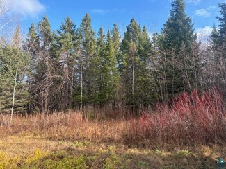 15005 Hultman St, Clover, WI 54844