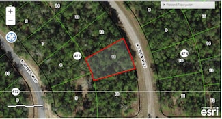 8576 N Stern Dr, Citrus Springs, FL 34434