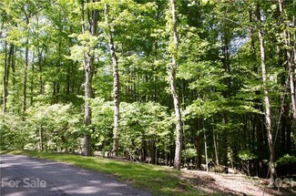 000 Hickory Springs Rd Unit 4-B/2, Burnsville, NC 28714