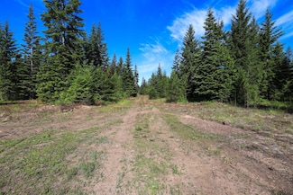 501 Gun Club Rd Unit Lot 9, Newport, WA 99156
