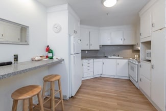 290 Commonwealth Ave Unit A, Boston, MA 02115