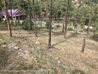 Lot 68 El Camino Dr, Alto, NM 88312