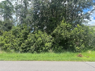 22 Zinnia Trail, Palm Coast, FL 32164