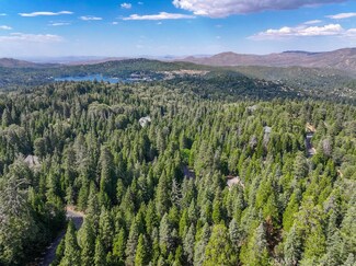 29199 Pigeon Hawk Ln, Lake Arrowhead, CA 92352