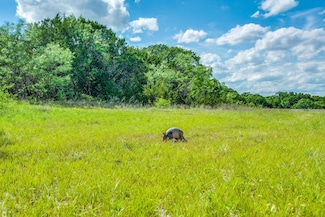 0 County Road 175 Unit 16715731, Stephenville, TX 76401