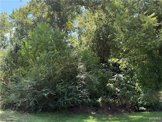 000 Hood St, Tuscaloosa, AL 35404