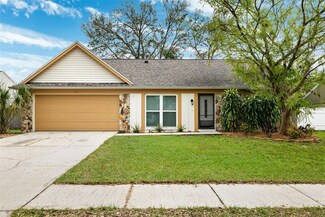 836 Sunridge Point Dr, Seffner, FL 33584