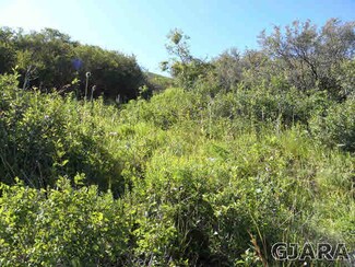 67468 Black Bear Dr, Collbran, CO 81624
