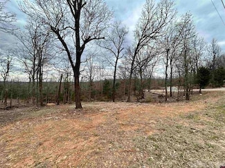 703 County Road 19, Mountain Home, AR 72653