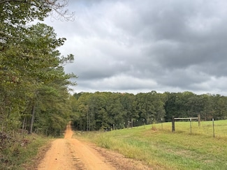 S Carolina Rd, Vernon, AL 35592