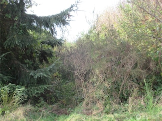 4 Driftwood Dr, Ocean City, WA 98569