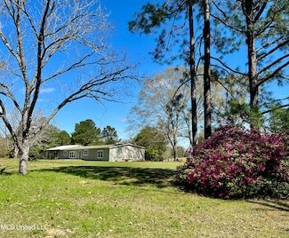 2221 Brushy Creek Rd, Lucedale, MS 39452