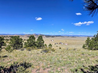 000 Cohonina Rd, Hartsel, CO 80449