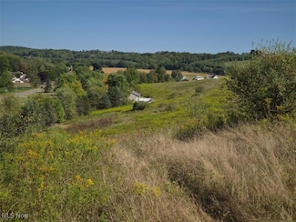 0 Lincoln St SE Unit 5157344, East Canton, OH 44730