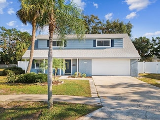 8304 Sandstone Ct, Town 'N' Country, FL 33615