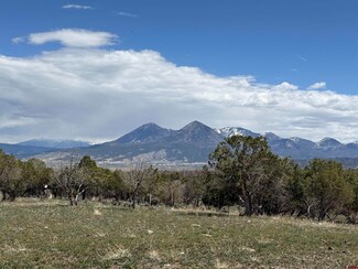 34319 Fruitland Mesa Rd, Crawford, CO 81415