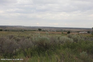 XXX Road 1300, La Plata, NM 87418