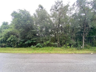 425 E Elgrove Dr, Citrus Springs, FL 34434