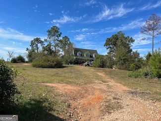 327 Deer Point Rd Unit 492 +/- ACRES, Georgetown, GA 39854