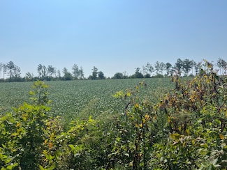 #2 Ambler Rd, Louisa, VA 23093