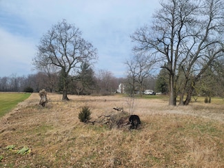 0 Vl Orland Rd Rd, Bronson, MI 49028
