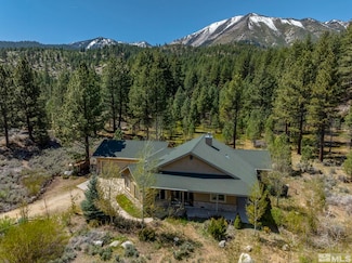 105 Old Mill Place, Washoe Valley, NV 89704
