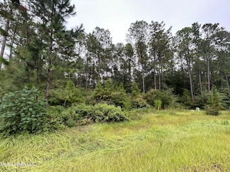 00 Sweet Birch Dr, Carriere, MS 39426