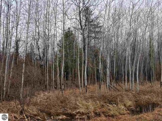 N/A Gawlic Rd, Turner, MI 48765