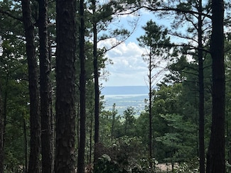 Lot 29 Phase 4, Tuskahoma, OK 74574