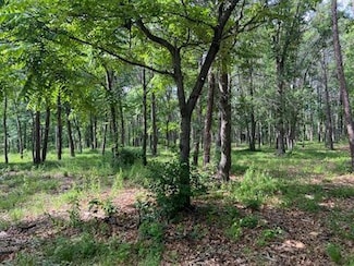 TBD Clearwater Rd, Baxter, MN 56425