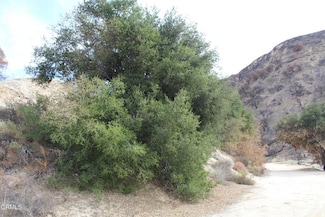 31029 Hasley Canyon Rd, Castaic, CA 91384