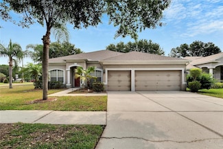 12902 Cattail Shore Ln, Riverview, FL 33579