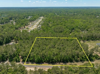 0 Steeple Chase Ln Unit 387280, Crawfordville, FL 32327