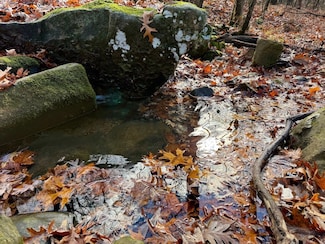 0 Cr 961 Rd Unit 25667345, Green Forest, AR 72638