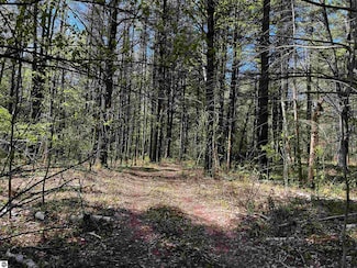 833 Briggs Rd, Twining, MI 48766
