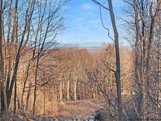572 Popletown Rd, Ulster Park, NY 12487