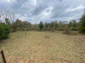 820 Mel Dixon Ln, Jasper, TN 37347