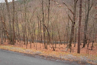 223 Casper Ct, McGaheysville, VA 22840