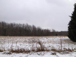 0 Waters Rd Unit 23064485, Chelsea, MI 48118