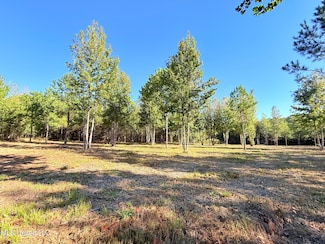 0 Stout Farms Dr Unit 4099869, Madison, MS 39110