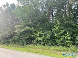 17.27 3rd St, Hokes Bluff, AL 35903