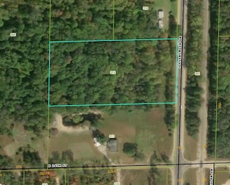 2323 S Evergreen Dr, White Cloud, MI 49349