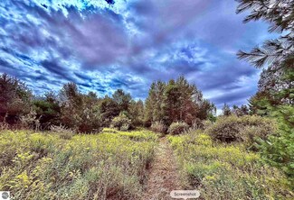 Parcel C Michigan 113, Kingsley, MI 49649