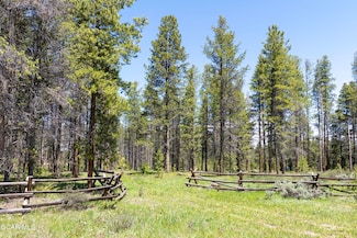 18 Gcr 517, Fraser, CO 80442